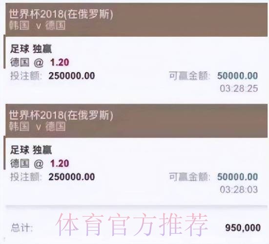 全方位解析世界杯投注软件平台